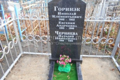 Черняева Наталия Николаевна