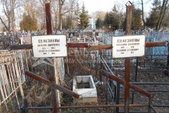 Селезнёв Владимир Степанович