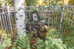 Топильская