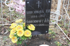Анисимовы