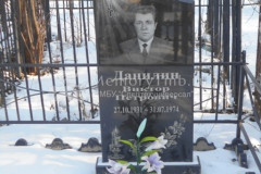 Данилин Виктор Петрович