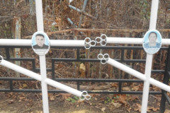 Жоголевы