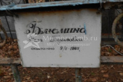 Блюмина Галя Борисовна