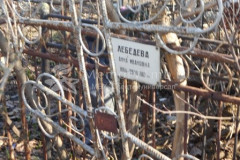 Лебедева Анна Ивановна