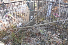 Не видно