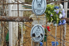 Терехова Пелагея Ефимовна