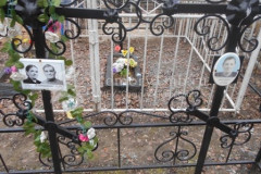 Дмитриева Александра Анатольевна
