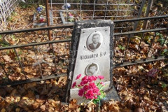 Козодаев