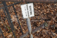 Серегина Прасковья Васильевна