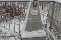 Черемисин Андрей Степанович