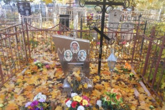 Дмитриевы