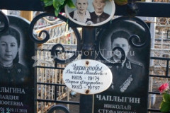 Чуфистова Дарья Фёдоровна