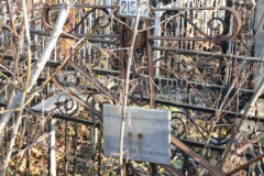 Порубаева Александра Никитична