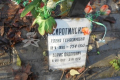 Сиротинская Елена Герасимовна