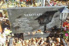 Чеботарева Анна Александровна