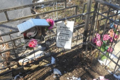 Безонучкина Александра Андреевна