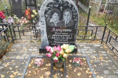 Алексеев Николай Павлович