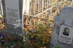 Денисов Николай Александрович