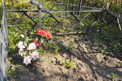 Мельникова Нина Яковлевна
