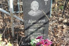 Краснов Владимир Михайлович
