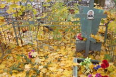 Бородин Владимир