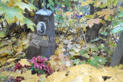 Мешков Петр Васильевич