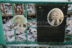 Чесалова Дарья Ильинична
