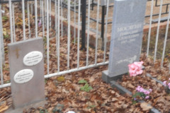 Мосягины