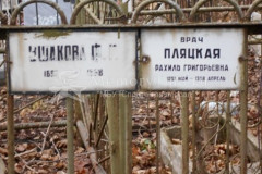 Пляцкая Рахиль Григорьевна