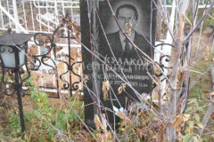Кулаков Дмитрий Вячеславович