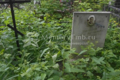 Андропов Аркадий Михайлович