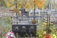 Логиновы