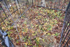 Безымянная