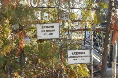 Лазукина Александра Ивановна