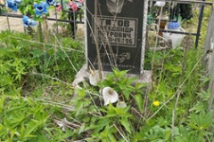 Титов  Александр Петрович