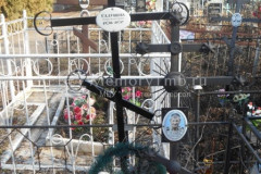 Салущев Александр Михайлович