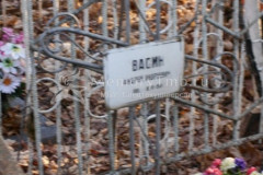 Васин Андрей Андреевич
