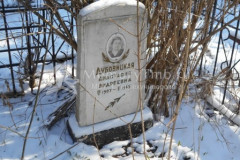 Дубовицкая Анастасия Андреевна