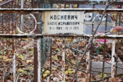 Косневич Яков Израйлевич