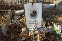 Шанин Дмитрий Фёдорович