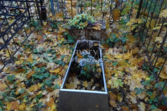 Безымянное