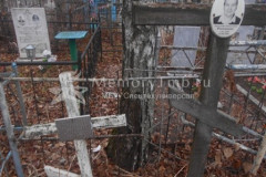 Рогожкина Александра Васильевна