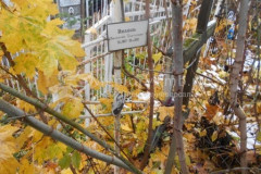 Иванов Валентин Павлович