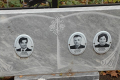Тюленевы