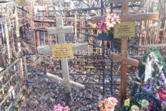 Кучев Владимир Петрович