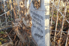 Мельников Алексей Сергеевич