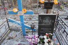 Шишов Сергей Александрович