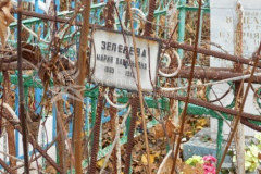 Зеленева Мария Васильевна