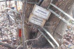 Корнишева Мария Федоровна