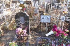 Житиневы